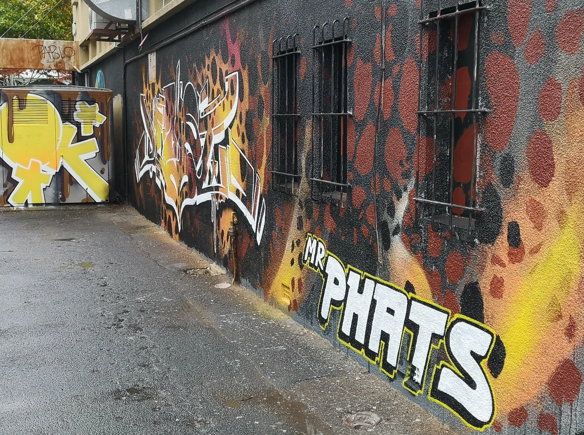 Wildstyle graffiti piece reading 'Mr Phats' over an orange and black leopard-print background in a laneway